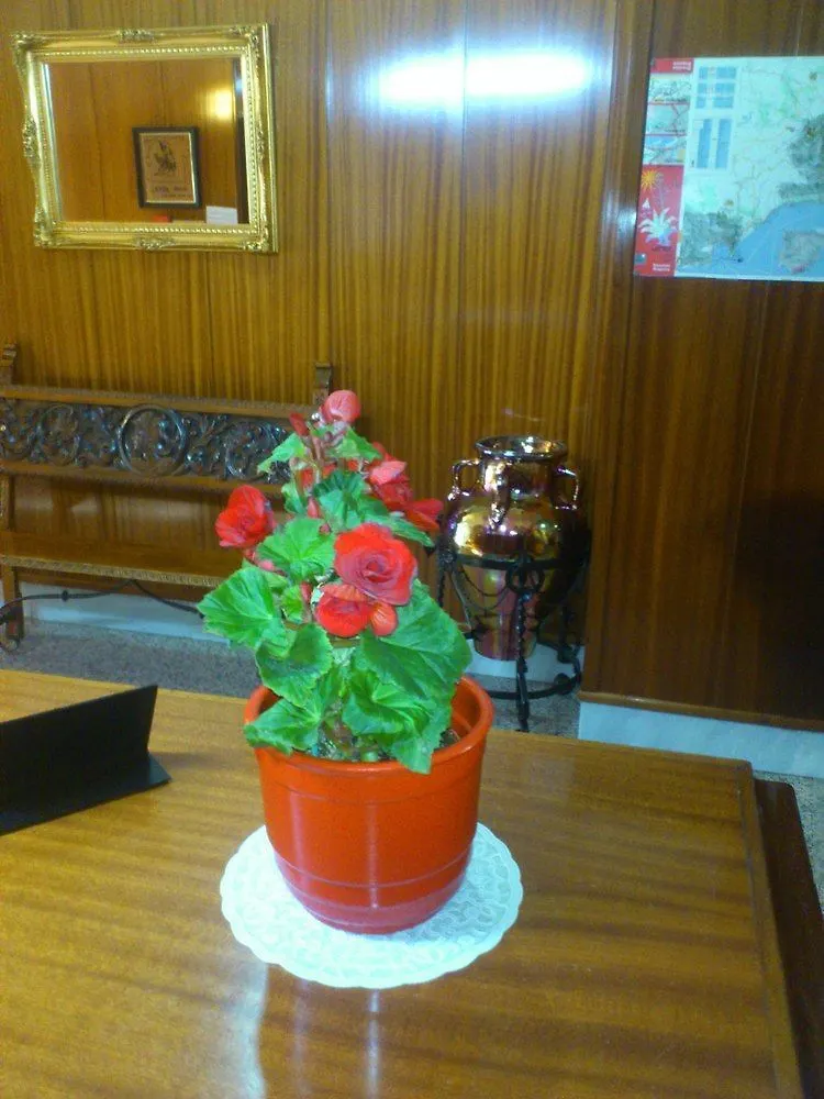 Hotel Royal Ronda 2*,